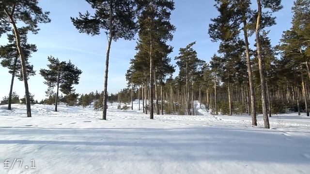 Tokina AF 12-24 mm F4 AT X 124 PRO DX | Видео тест смотреть онлайн