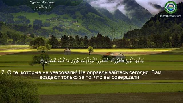 66. _Сура_ ❤️Ат-Тахрим❤️ Мишари Рашид смотреть онлайн