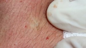 Satisfy Relaxation Every Day with Sophia Skin Care 2 #117