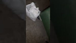 Находки с помойки 14 часть
