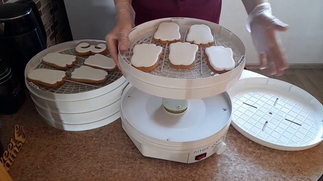 Как сушить пряники с айсингом в сушилке для овощей и фруктов