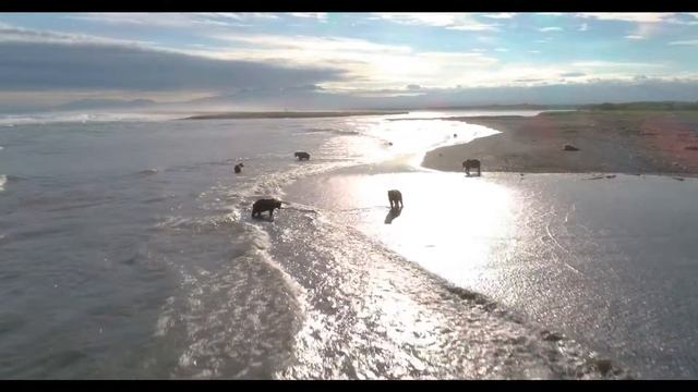 Центральная часть Кроноцкого заповедника смотреть онлайн