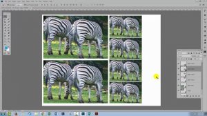 Photoshop - DIY Picture Package - print multiple images at a time