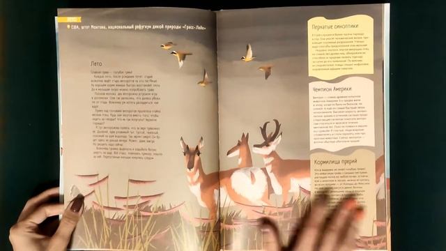 Степи, прерии, пампасы. Один год жизни исчезающего биома смотреть онлайн