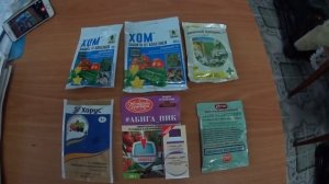ВИШНЯ. МОНИЛИОЗ, грибное заболевание косточковых,  ( борьба с болезнями).