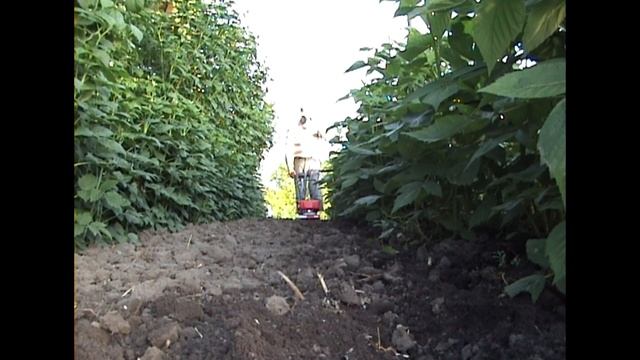 Мотокультиватор Кентавр МК 10-2 . Мотосапа . смотреть онлайн