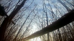 Hatsan 125 и Фазан за 3 минуты с пневматики !!!!!