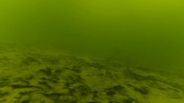 Подводная жизнь озера Султанкельды смотреть онлайн