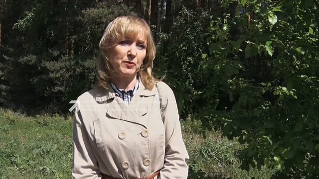 Привести в порядок рекламные конструкции и убрать прилегающую территорию смотреть онлайн