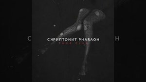 Скриптонит &  Pharaoh - Твоя сука