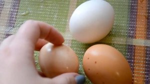 ДЕРЕВЕНСКИЙ суп с гречкой и яйцом. Простые ингредиенты и легкое приготовление. Полюбится всем!