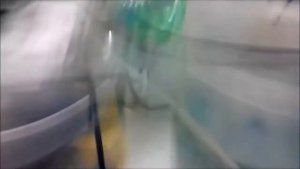 28# РЕШАЕМ ПРОБЛЕМУ С ДАНИО САМОСТОЯТЕЛЬНО  !!!!!!!!!!!!!!!!!!!!!!!!!!!!!