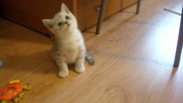 DSCN3193 смотреть онлайн