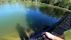 rodio craft 999.9 meister white wolf 62l-trz