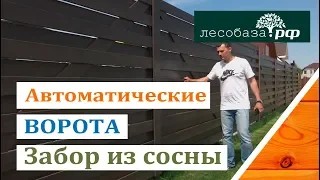 Автоматические ворота, забор из сосны