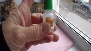 Отодектоз у кошки ЧЕМ ЛЕЧИТЬ Ушные капли