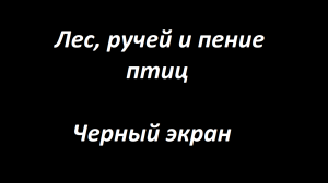 Лес, ручей и пение птиц   Черный экран   Концентрация внимания, медитация, учеба