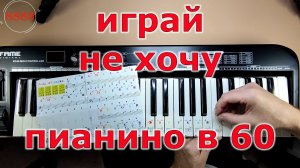 Как правильно наклеить ноты на клавиатуру Piano STICKERS 49 Key
