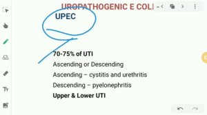 BACTERIOLOGY: Enterobacteriacae ( Part 1)|e-coli ,Shigella, Klebsiella, Proteus