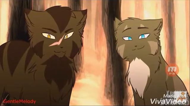 Жалею о сорре с Хикари,я думаю ей тоже сейчас не по себе смотреть онлайн