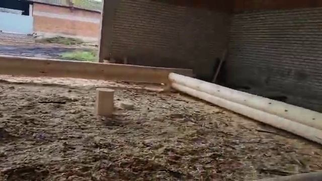 «Велижские срубы» дом из сруба 7×9 метров, рубка «в чашу» смотреть онлайн