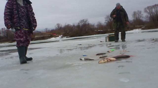 Ловля на течении зимой-лентяйка,шарик,дергуша..mp4 смотреть онлайн