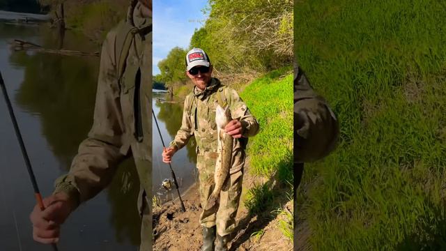 На Днепре! #весна #рыбалка #спиннинг #подпишись #микроджиг #кайф #поймал_отпусти #щука #отпуск смотреть онлайн