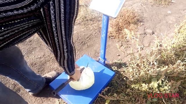 Капуста агрессор уборка смотреть онлайн