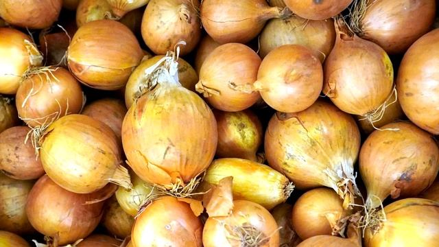 ВОЛШЕБНЫЙ ЭЛИКСИР ДЛЯ ОГОРОДА ОСЕНЬЮ СВОИМИ РУКАМИ смотреть онлайн