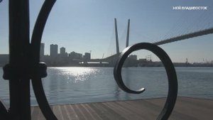 Владивосток ларга в бухте Золотой Рог (18 января 2019).