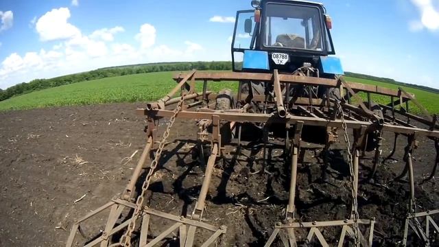 Как культивировать почву под сев подсолнуха. Трактора ЮМЗ-6КЛ и МТЗ-82 в работе.