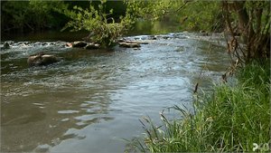 (Рыбинск-40) ЭКОЛОГИЧЕСКАЯ КАТАСТРОФА НА ЧЕРЁМУХЕ