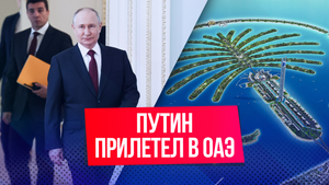Путин прибыл с визитом в ОАЭ