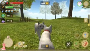 А у нас появился второй КОТЁНОК в игре Симулятор кота и кошки