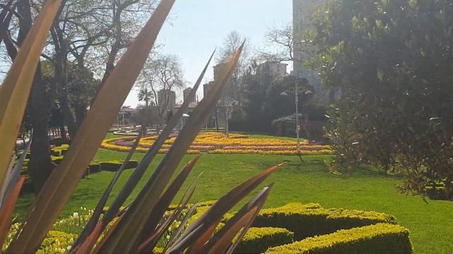 Фестиваль тюльпанов без людей в Göztepe парке, Стамбул. смотреть онлайн