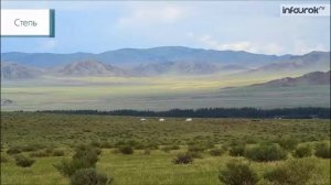 Лесостепи и Степи