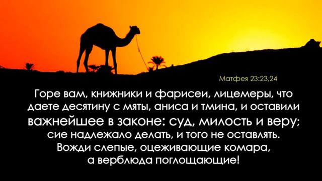 Надежда лицемера погибнет смотреть онлайн