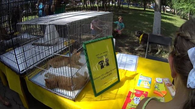 ФЕСТИВАЛЬ ЦВЕТОВ | Самара   30 ИЮЛЯ 2016 г. ПАРК "ДРУЖБА"