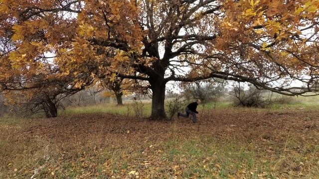 KIA Seltos и Hyundai Creta во время экспедиции «Исследователь Арктики» смотреть онлайн