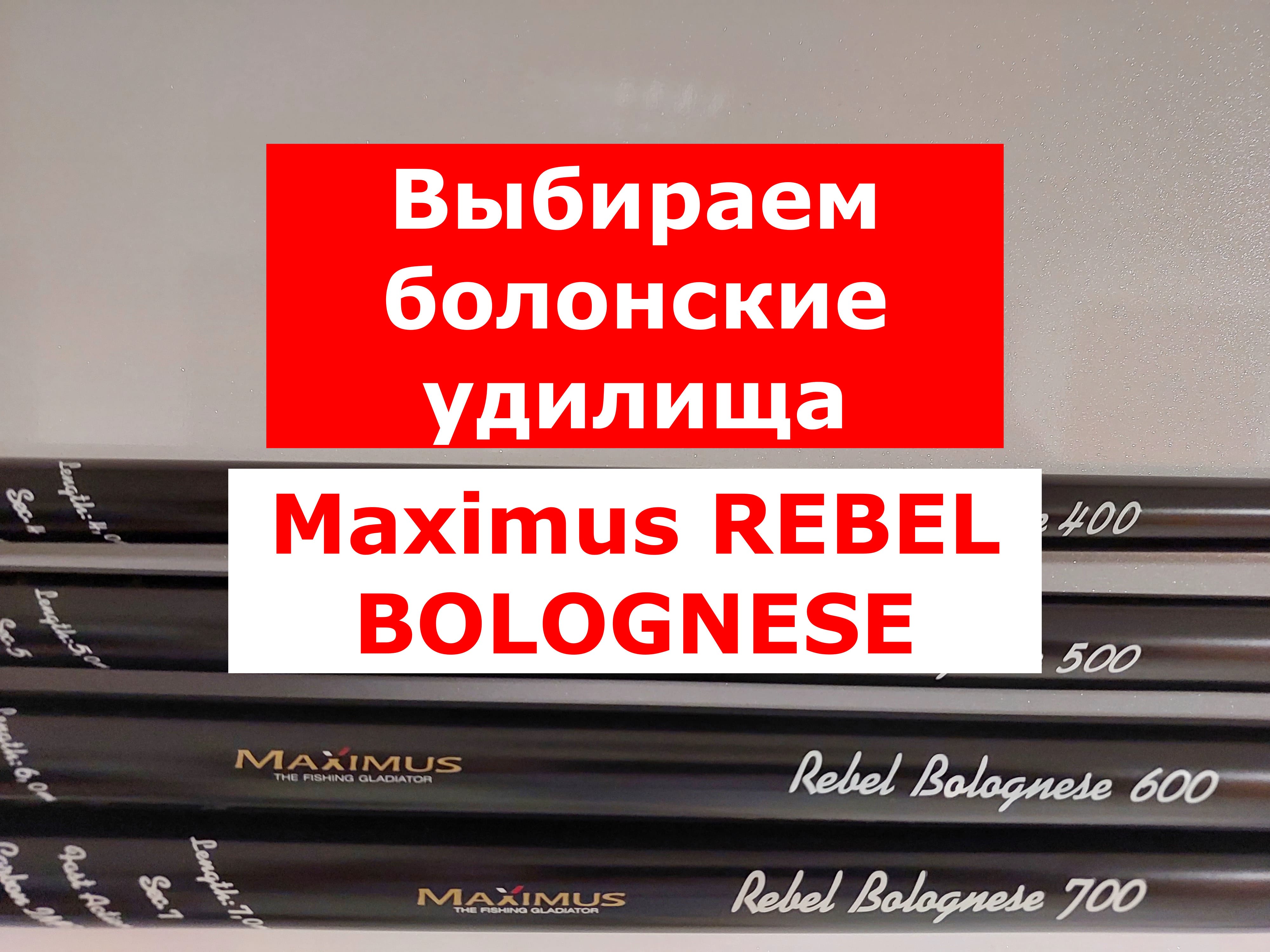 ВЫБИРАЕМ БОЛОНСКОЕ УДИЛИЩЕ | УНИВЕРСАЛЬНОЕ удилище MAXIMUS REBEL | ЛУЧШИЕ БОЛОНСКИЕ УДИЛИЩА | ОБЗОР