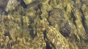 44. Влог. Побывал в горно-таёжной местности. 03.09.23 г