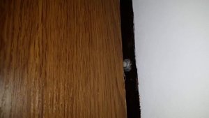 Сигнализация своими руками из мобильного телефона. Всё просто.