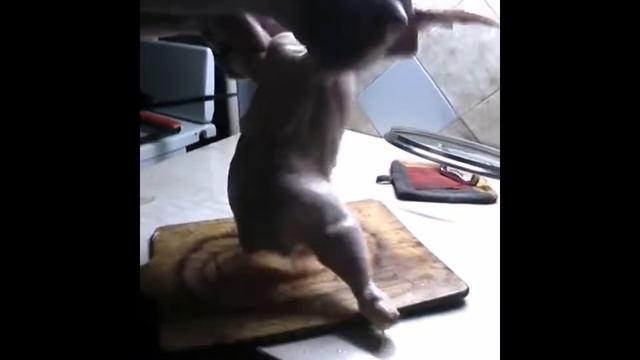 Покушай курочку! смотреть онлайн