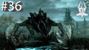 The Elder Scrolls V: Skyrim #36. Клинок Лютый