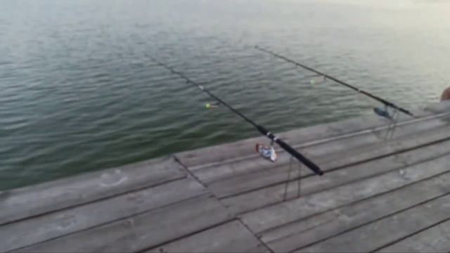 Таких Поклевок Давно не Было | Рыбалка в Конце Сентября 2020 смотреть онлайн