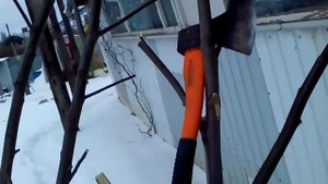 Подготовка капканов к охоте не бобра