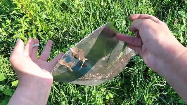 Не зря приехали за домонголом снова!
