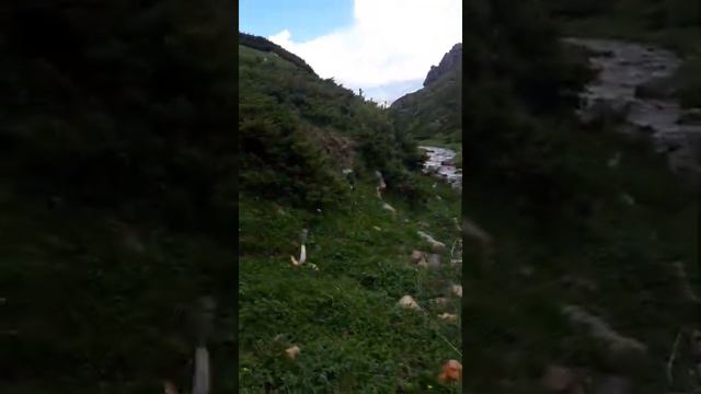 Рыбалка в Казахстане, ШАЛКОДЕ, рыба осман смотреть онлайн