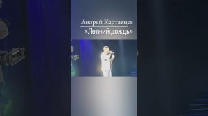 Андрей Картавцев - «Летний дождь».