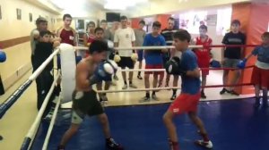 БОКС  BOXING Единоборства драки бои ММй